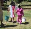 allyandherfriendysaatthefarm_small.jpg