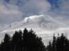 mthood_small.jpg