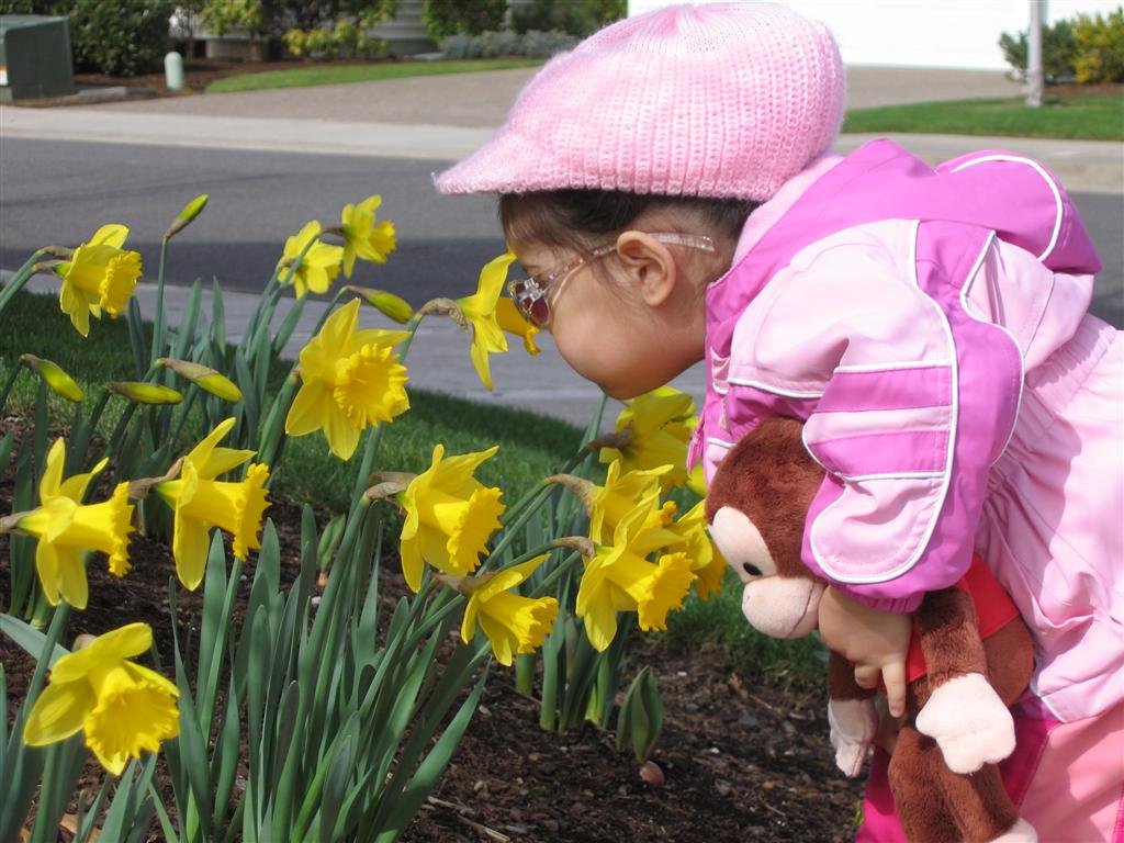 allyinspectsaflower.jpg