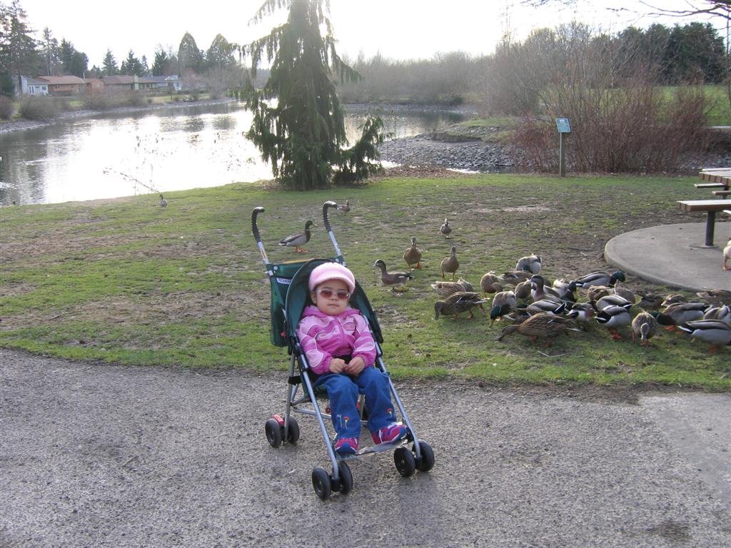 attheduckpond.jpg