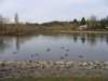 thecommonwealthpark_small.jpg