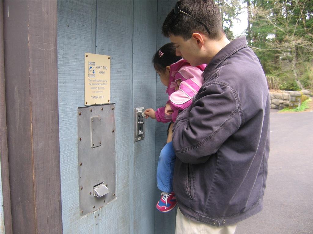 allyaskedforcoinstoputinthemachinetogetfoodtofeedthefish.jpg