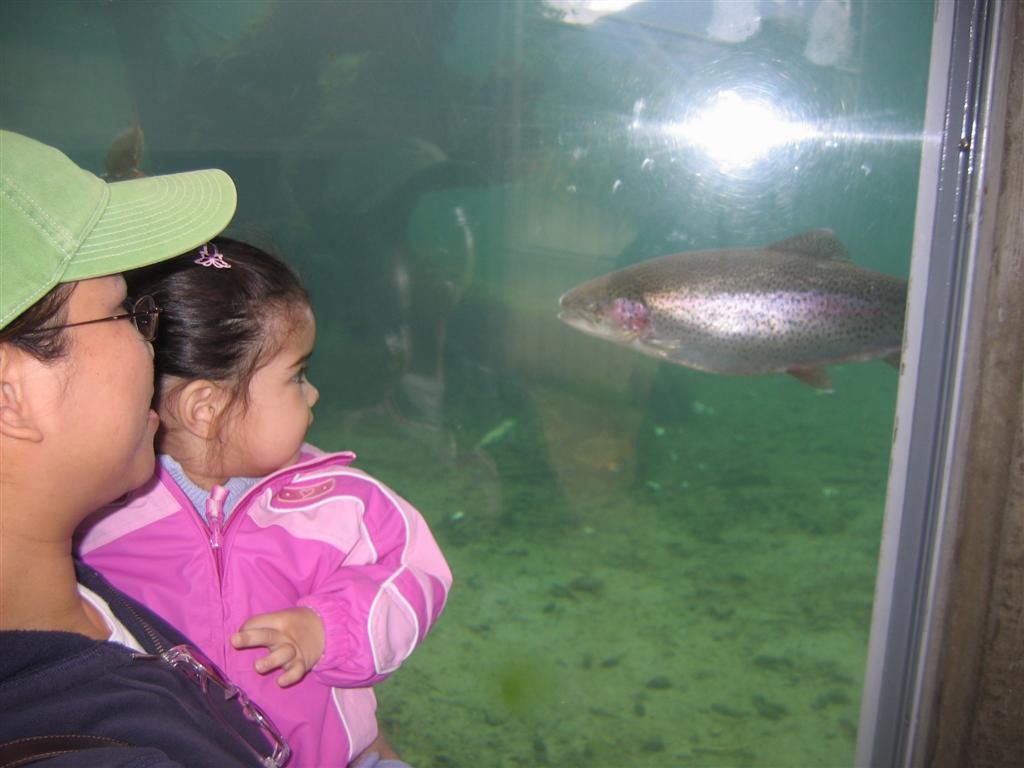 atthefishhatcherynearthebonnevilledam.jpg