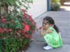 ponderingtheflowers_small.jpg