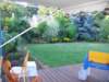 ournewbackyardatthenewhouse_small.jpg