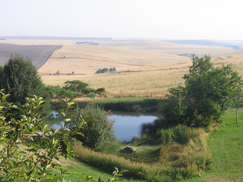 anotherviewfromthehotel.jpg