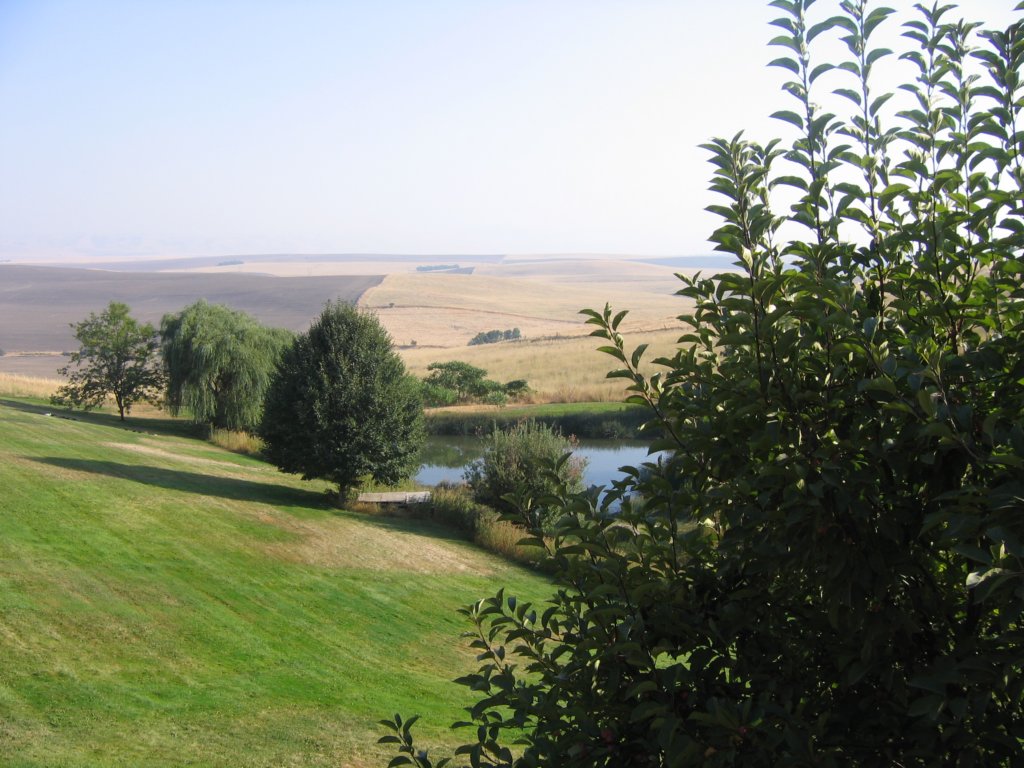 theviewfromthehotel.jpg