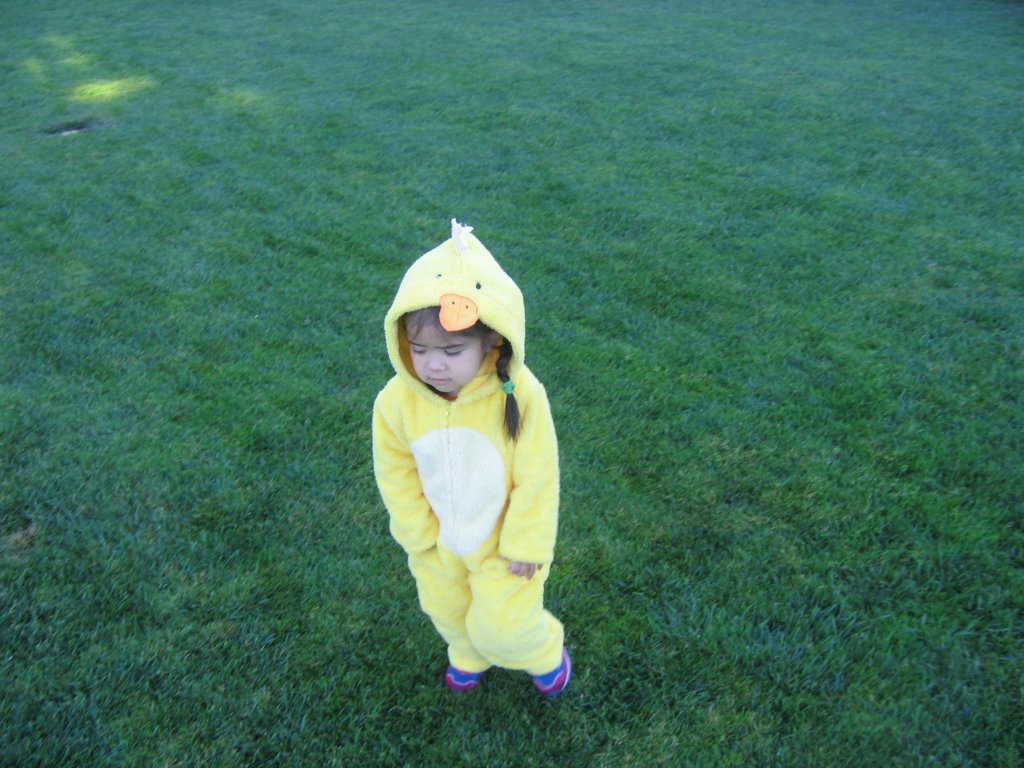 allyinherhalloweencostume.jpg