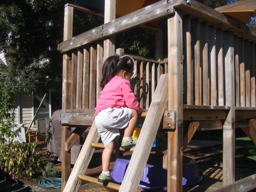 allyinourbackyardclimbinghigh.jpg