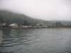 tillamookbayneargaribaldiwewentcrabbingat330amalthoughwecameforthewrongtideforthetypeofcrabbingwedid_small.jpg