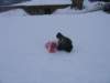 helenandallyinthesnow_small.jpg
