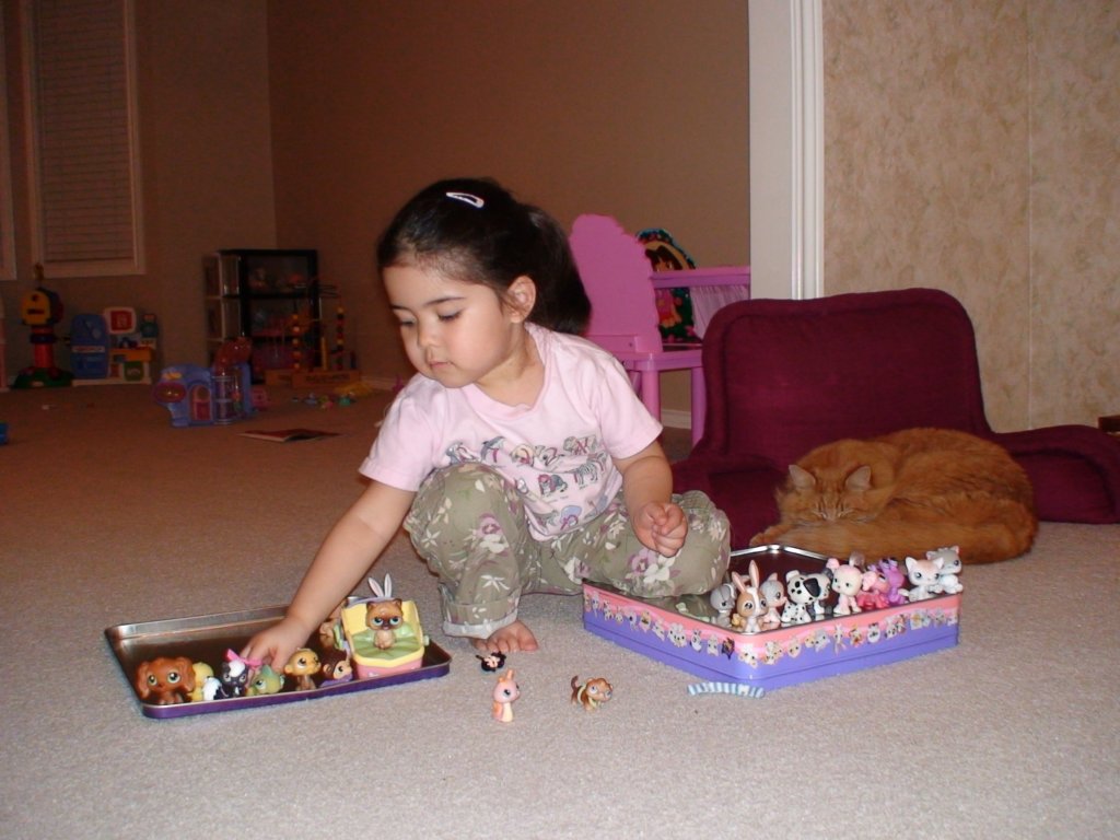allywithherlittlepetshopanimalsshehasgiveneachoneauniquenameandknowsthemallbysight.jpg