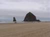 dsc00595large_small.jpg