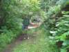 thereisalotofgreeninthispicture_small.jpg