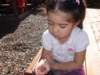 allyfoundaladybugandcarrieditaroundforabout45minutesshewasverycarefulnottohurtitandeventuallyitflewaway_small.jpg