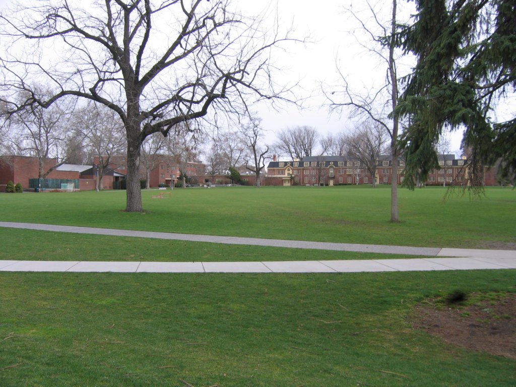 ankenyfield.jpg