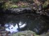 thehotspring_small.jpg