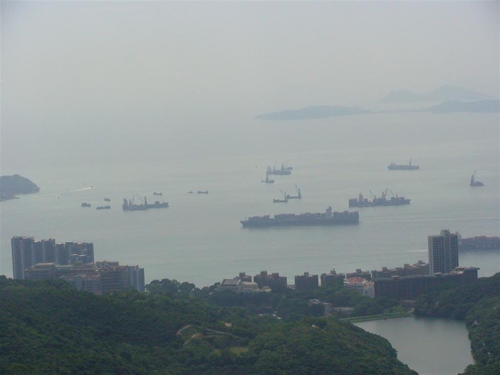 lotsofboatsintheharbor.jpg