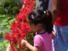 allyinspectstheflower_small.jpg