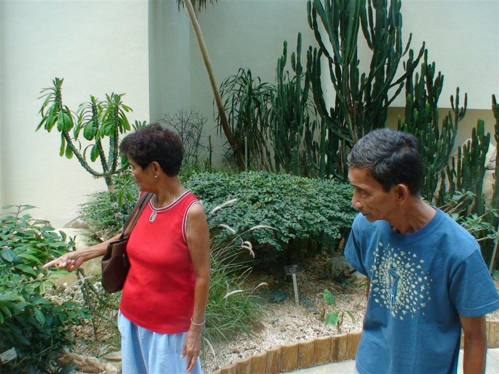 tatayandinanglookatsomeplants.jpg