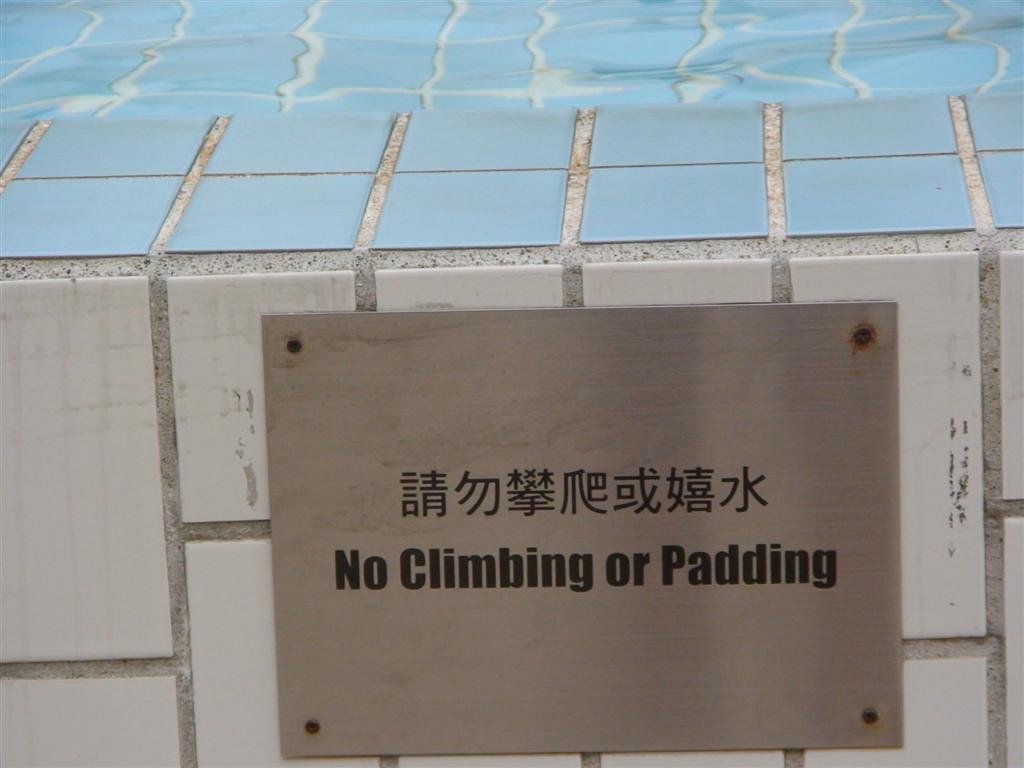 wewilltrytoavoidpaddingwhilewerenearthewater.jpg