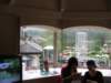 lookingoutside_small.jpg