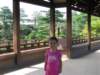 fromthisbridgewecanfeedtheturtlesandfishallytakesabreakfromfeedingthelocalanimalsforaphoto_small.jpg
