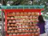 rieshowsushowpeoplewritemessagesontheselittleboards_small.jpg