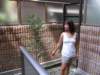 helenrelaxesinthemodestbackyard_small.jpg
