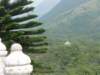 asmalltemplevisibleintheforest_small.jpg