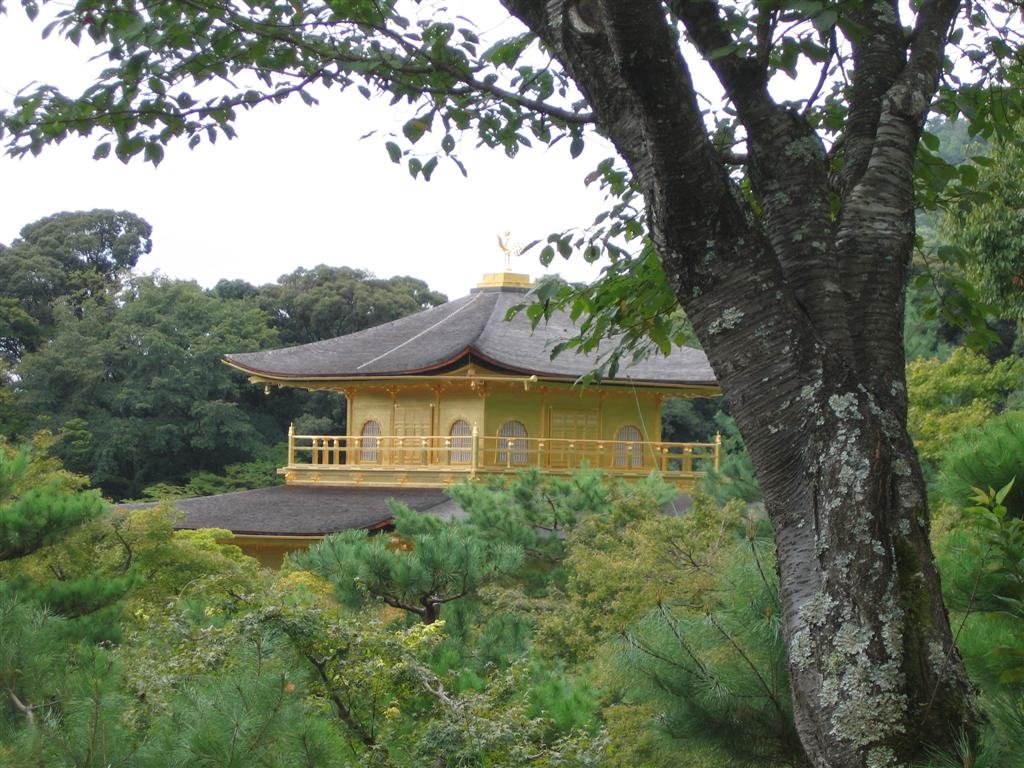thetopofkinkakuji.jpg