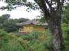 thetopofkinkakuji_small.jpg