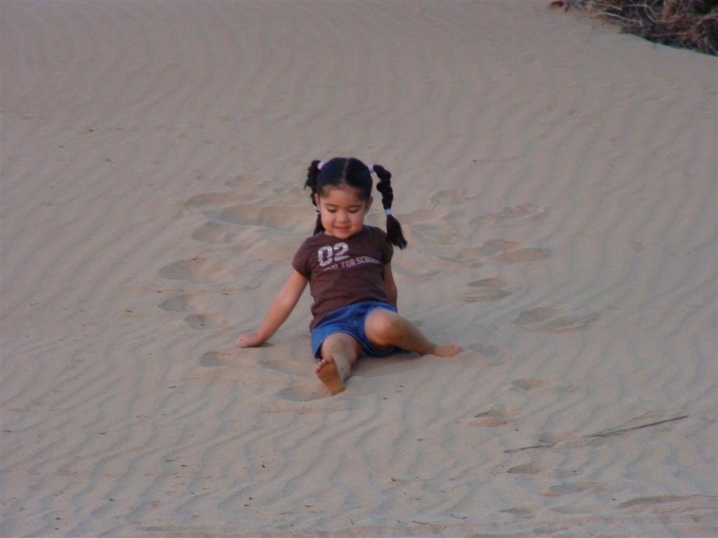 allysitsinthesandthesandlooksabitlikewhatpartsofthesaharaapparentlylooklike.jpg