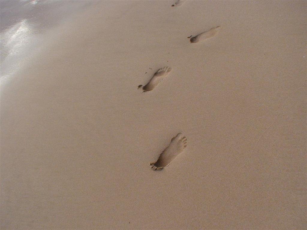 footstepsonthebeachdeterminingwhetherthesearehelensorallysisleftasanexercisetoyouthewebsitebrowserimnotsure.jpg