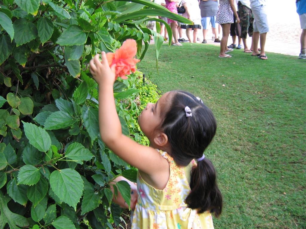 inspectingaflower.jpg
