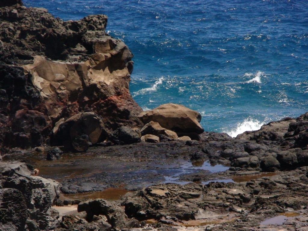 theblowhole.jpg
