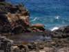 theblowhole_small.jpg