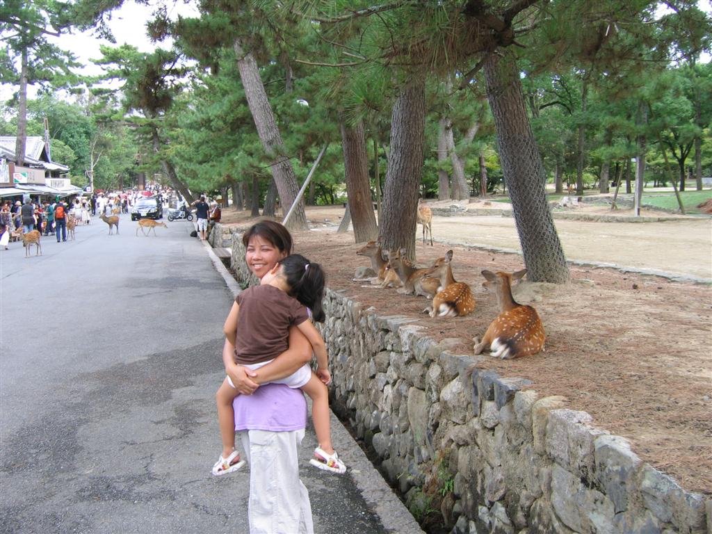 allystillsleepsandthedeercontinuetorest.jpg