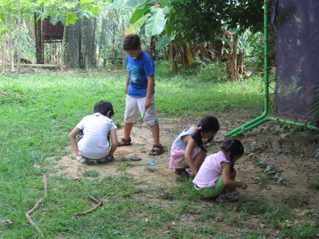 moreplayingintheground2.jpg