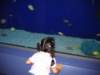 allyexaminesthefish_small.jpg