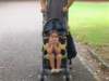 allywakesupandenjoysthepark_small.jpg