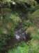 alittlewaterfall_small.jpg