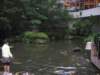 wetourthehotelsjapanesegarden_small.jpg