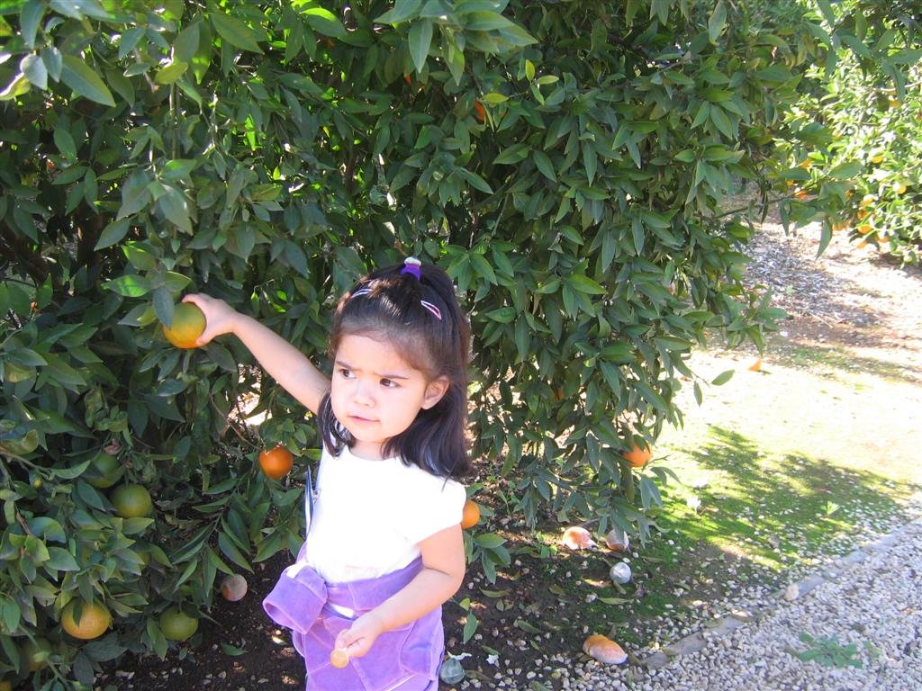 allygetssomefruit.jpg