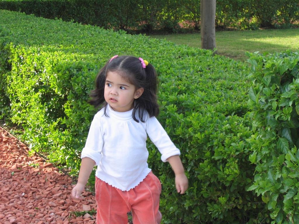 allyinthegarden.jpg